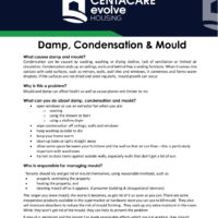 Preview - Damp, Condensation & Mould