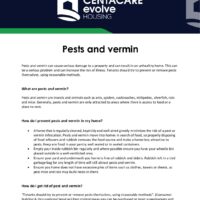 Preview - Pest and Vermin